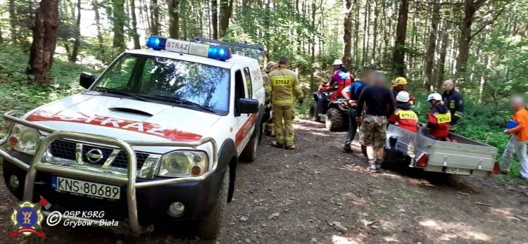 Góra Chełm. Paralotniarz spadł na drzewo