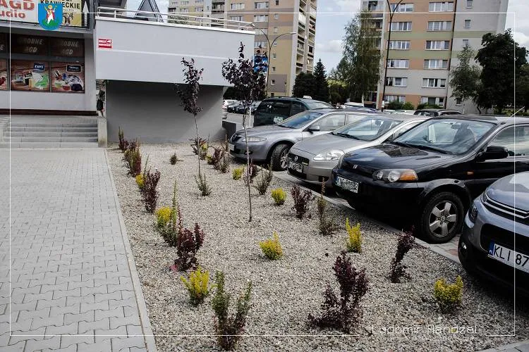 Parkingi i chodniki na Osiedlu Millenium zostały zmodernizowane Nowy Sącz
