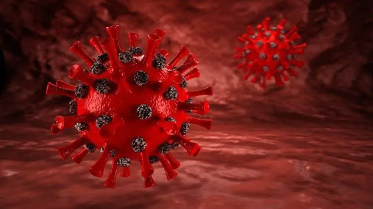 Najnowsze dane dotyczące koronawirusa (SARS-CoV-2) - 3 grudnia