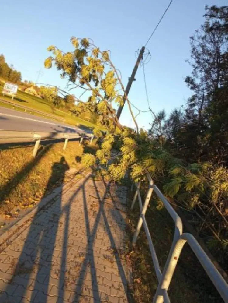 W weekend strażacy usuwali skutki silnego wiatru na Sądecczyźnie