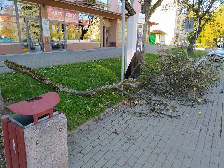 W weekend strażacy usuwali skutki silnego wiatru na Sądecczyźnie