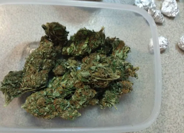 Amfetamina w zamrażarce, marihuana w plecaku, a w pokoju maczeta. Ich właściciel poczeka w areszcie na wyrok