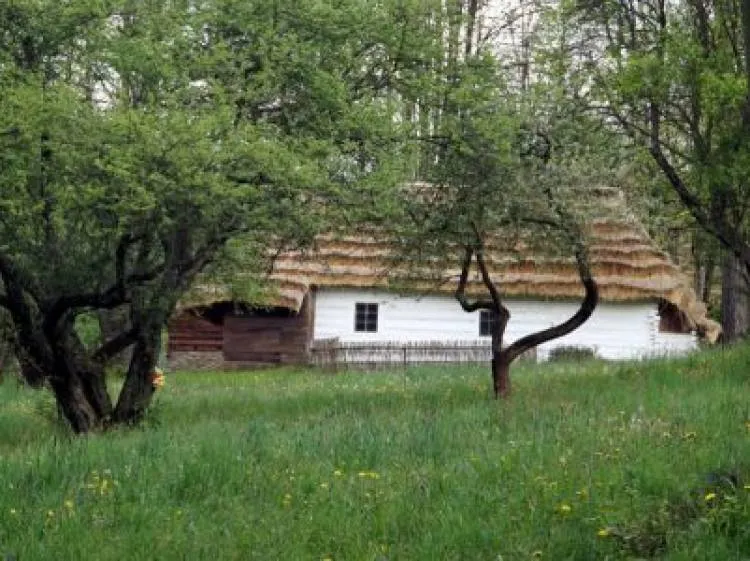 Muzeum Okręgowe z wyróżnieniem w 40. edycji konkursu na Wydarzenie Muzealne Roku SYBILLA 2019