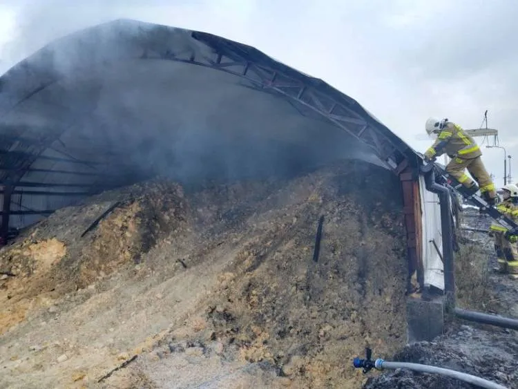 13 zastępów straży gasiło pożar magazynu z materiałem drzewnym na ul. Węgierskiej