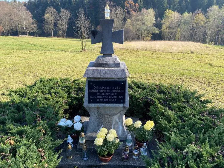 Odkupione chryzantemy ozdobiły miejsca pamięci