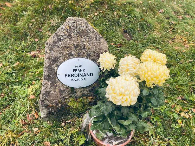 Odkupione chryzantemy ozdobiły miejsca pamięci