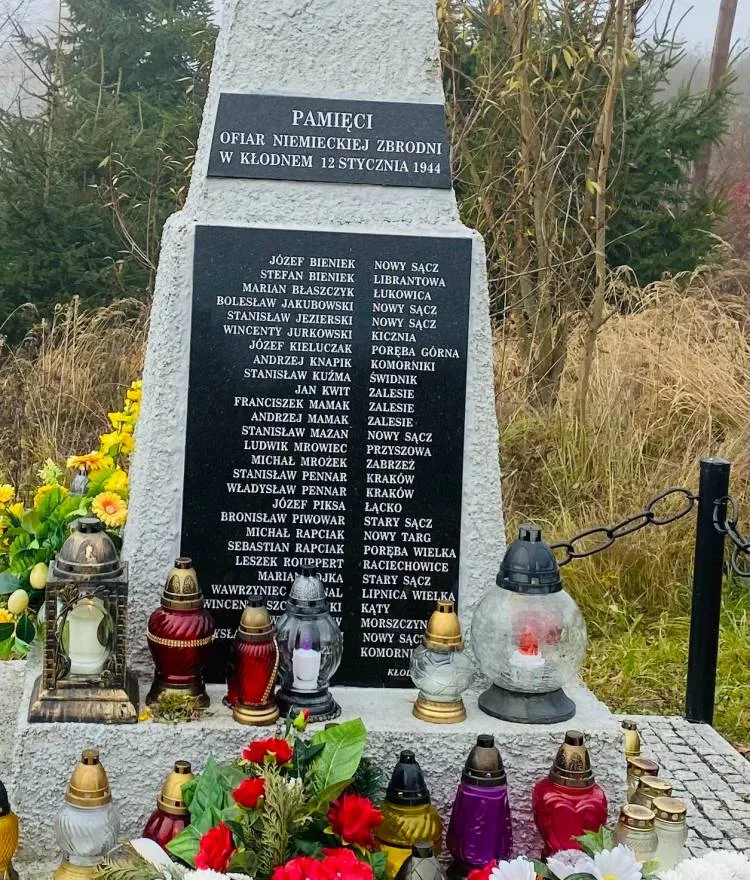 Odkupione chryzantemy ozdobiły miejsca pamięci