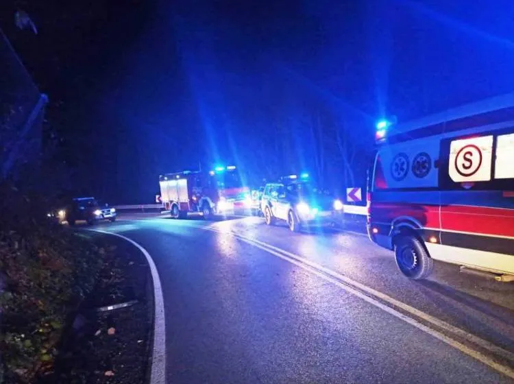Wypadek w Żegiestowie. Samochód osobowy uderzył w przydrożną barierę