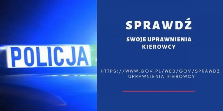 Kierowco możesz sprawdzić swoje uprawnienia na stronie gov.pl
