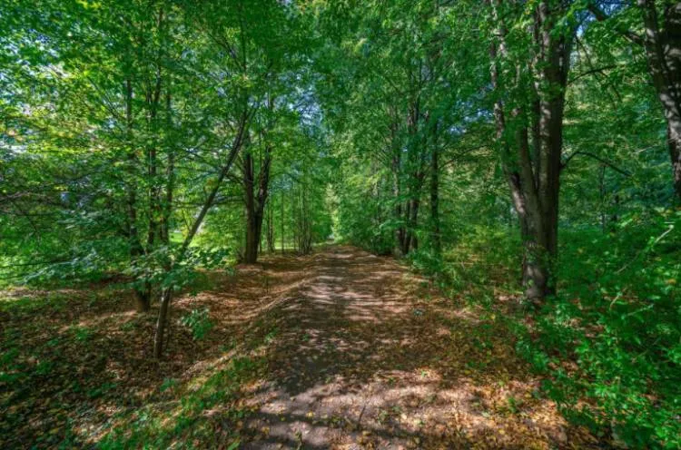 W mieście może powstać Park Nawojowski. Złóż swój podpis pod petycją i pomóż w jego utworzeniu