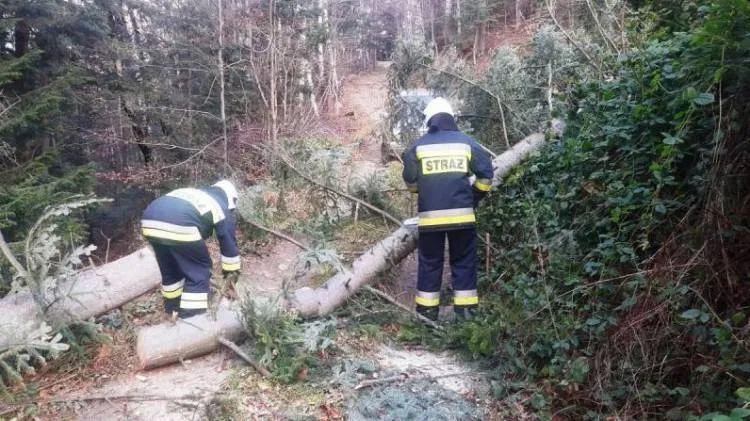 Sądecczyzna. W weekend strażacy usuwali skutki silnego wiatru