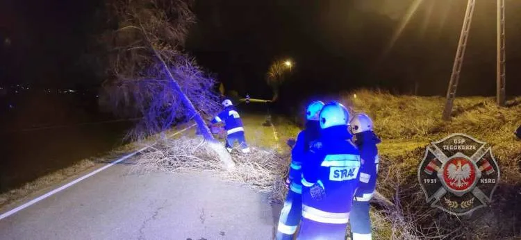 Sądecczyzna. Strażacy usuwali skutki silnego wiatru