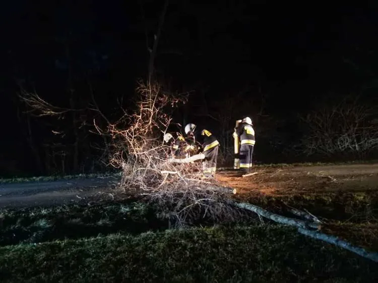 Sądecczyzna. Strażacy usuwali skutki silnego wiatru