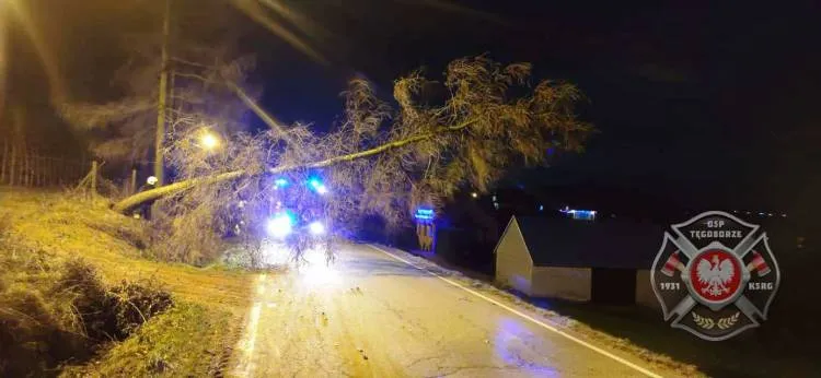 Sądecczyzna. Strażacy usuwali skutki silnego wiatru