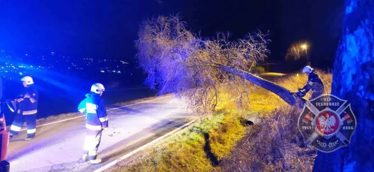 Sądecczyzna. Strażacy usuwali skutki silnego wiatru