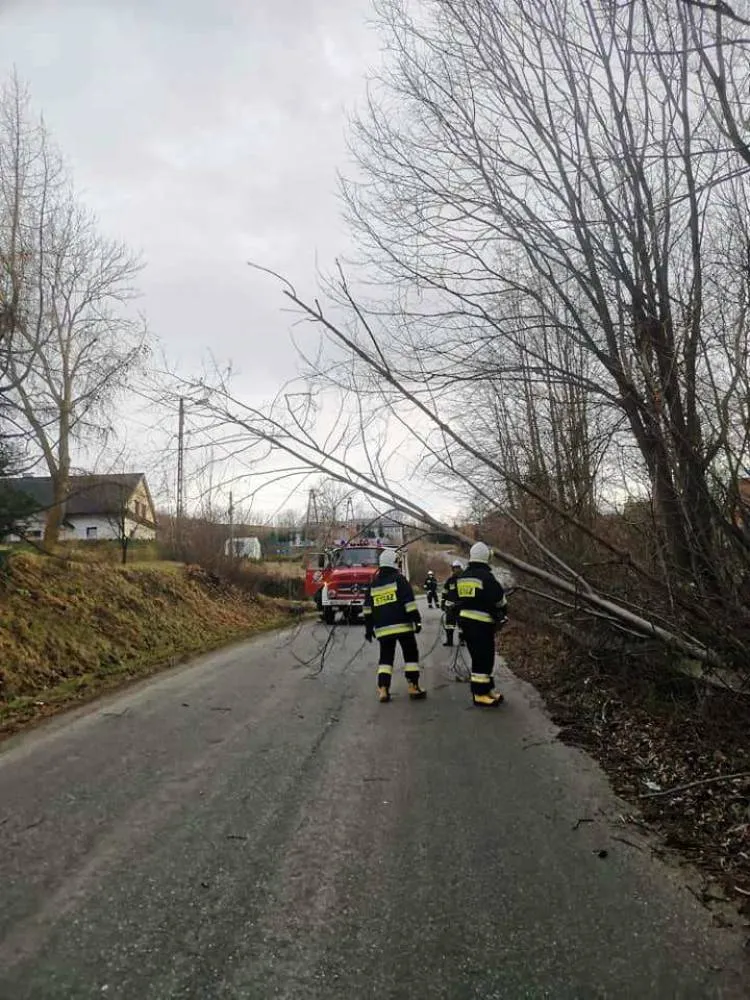 Sądecczyzna. Strażacy usuwali skutki silnego wiatru