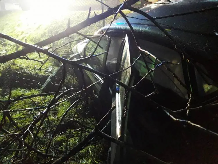 Wypadek w Naszacowicach. Samochód osobowy wypadł z drogi
