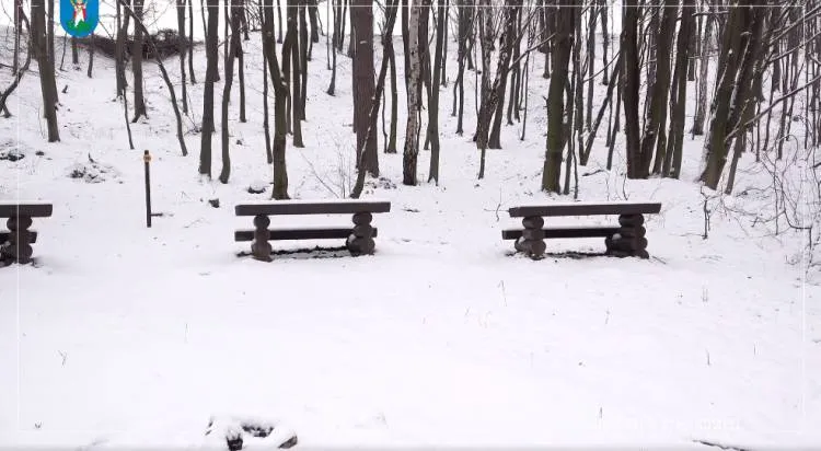 Zakończyła się rewitalizacja Lasku Falkowskiego Nowy Sącz