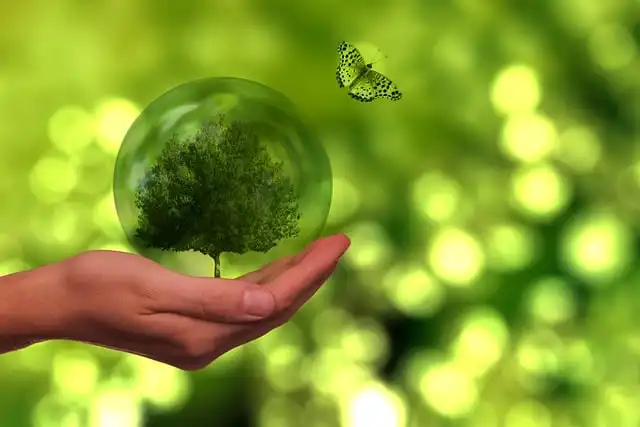 Podegrodzie na Zielono. GREEN WEEK 2025 z akcją „Drugie życie dla tekstyliów”