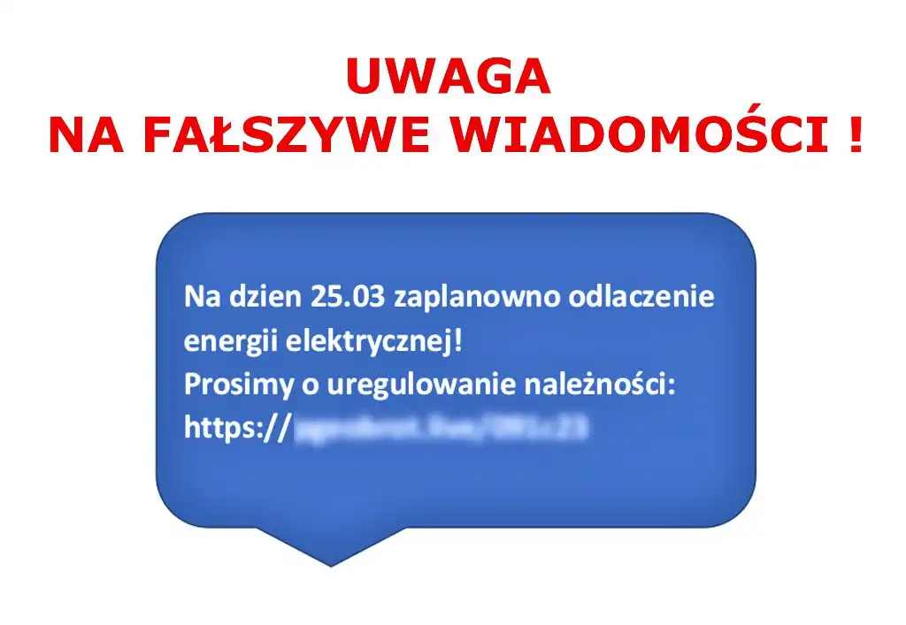 Cyberoszuści podszyli się pod dostawcę energii elektrycznej. Dwoje mieszkańców Sądecczyzny straciło ponad 20 tys. zł