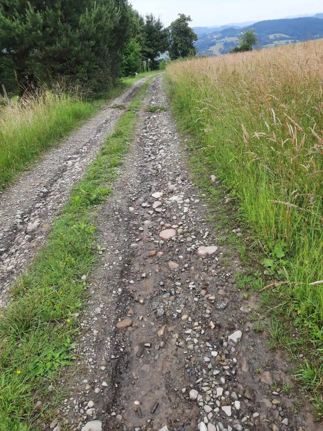 Będzie nowa droga. Witowice Dolne z dofinansowaniem