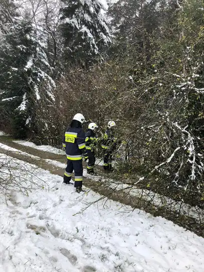 14 kwietnia strażacy usuwali skutki zimy na Sądecczyźnie. Interweniowali 70 razy