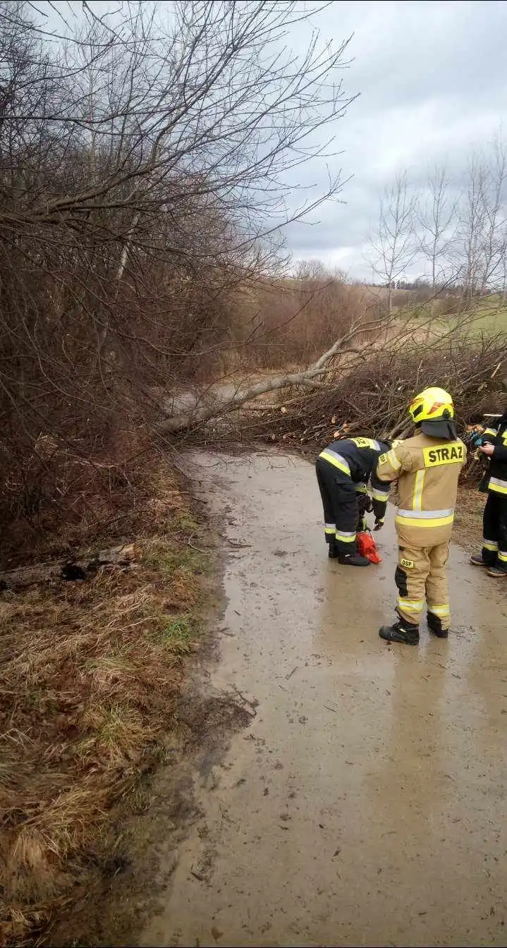 Sądecczyzna: Wietrzny początek tygodnia. Interweniowali strażacy
