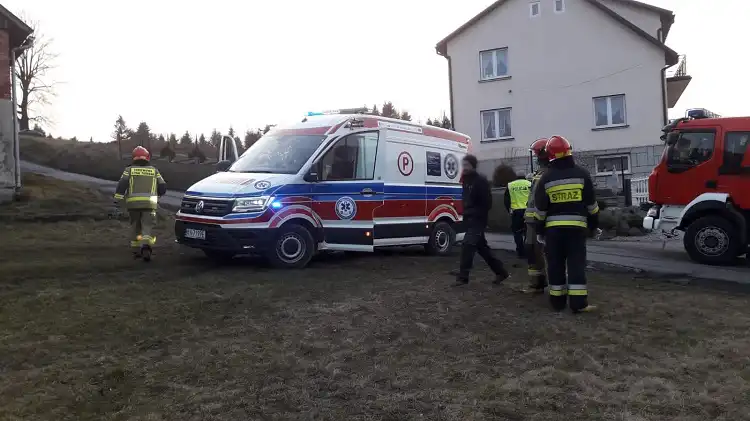 Wypadek w Kamionce Małej. Osobówka wypadła z drogi i "wylądowała" na prywatnej posesji
