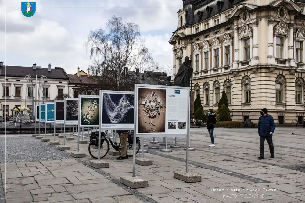 Na nowosądeckim rynku można obejrzeć proekologiczną wystawę fotograficzną