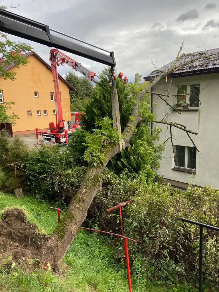 W Jazowsku drzewo spadło na dach budynku mieszkalnego