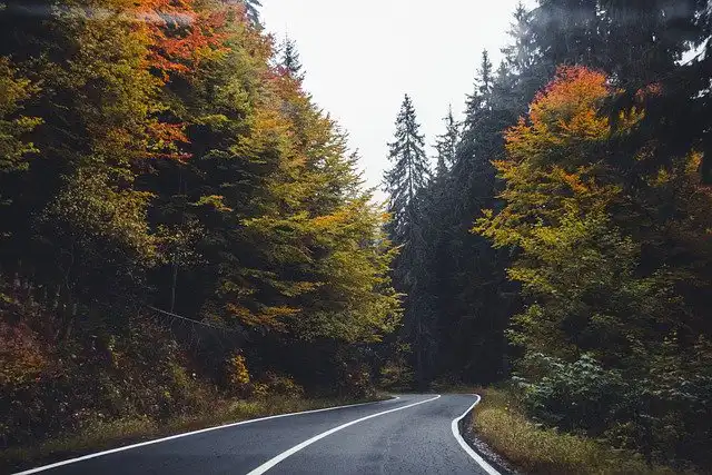 Wyremontują kolejną drogę gminną