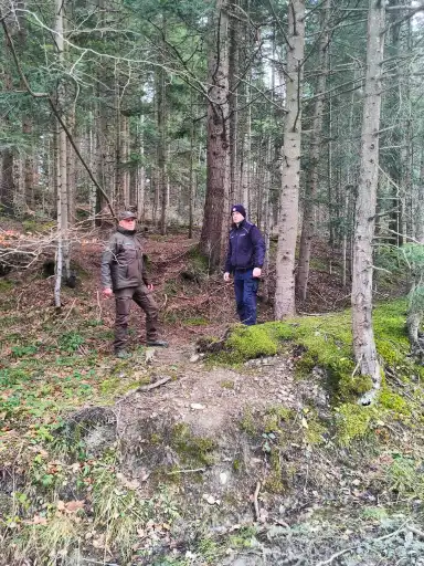 Jodły i świerki tylko z legalnego źródła. Patrole w akcji