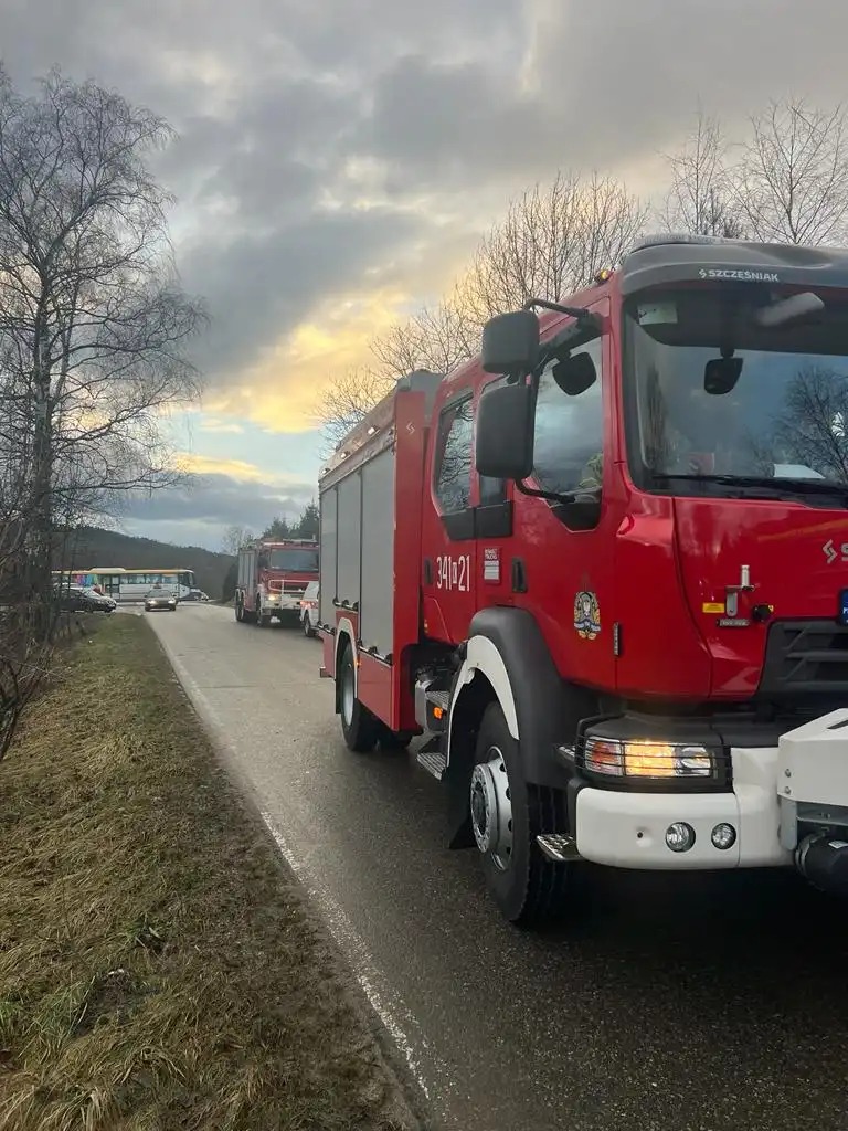 Wypadek w Korzennej. Samochód osobowy wypadł z drogi. Dwie osoby trafiły do szpitala