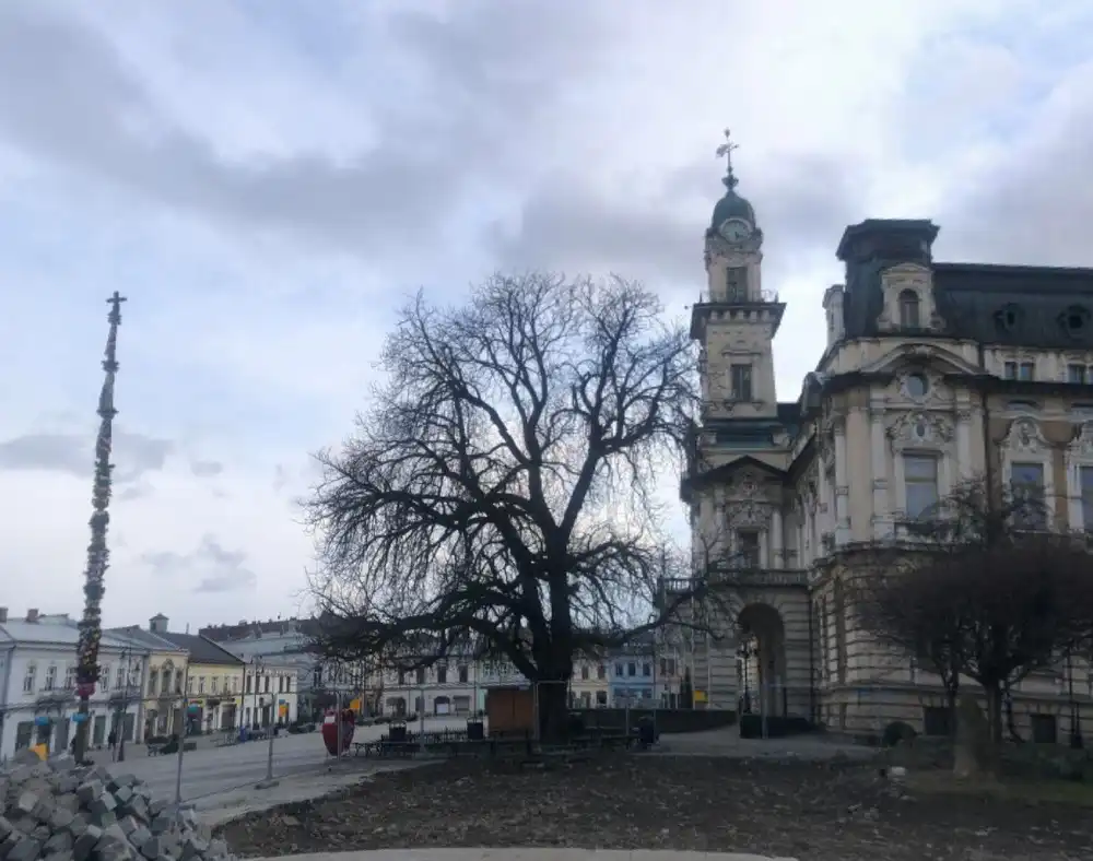 Wykopaliska na nowosądeckim rynku zostały zasypane
