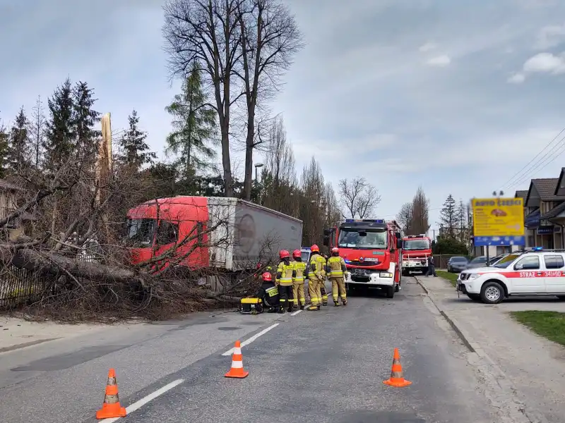 Wypadek na ul. Nawojowskiej w Nowym Sączu: rozbita ciężarówka, złamane drzewo, uszkodzony płot