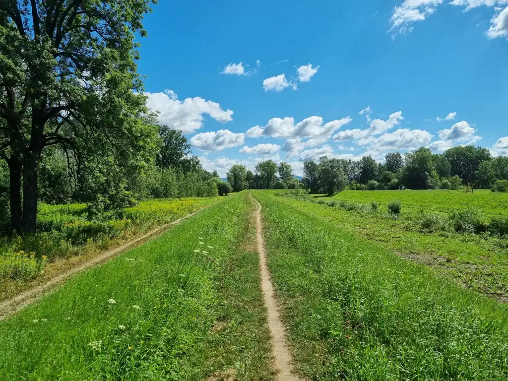 Nowe inwestycje rowerowe i biegowe w Gminie Chełmiec