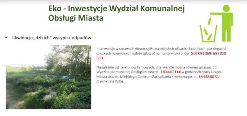 Urząd Miasta Nowego Sącza uruchamia program Zadbajmy o #zielonyNowySacz