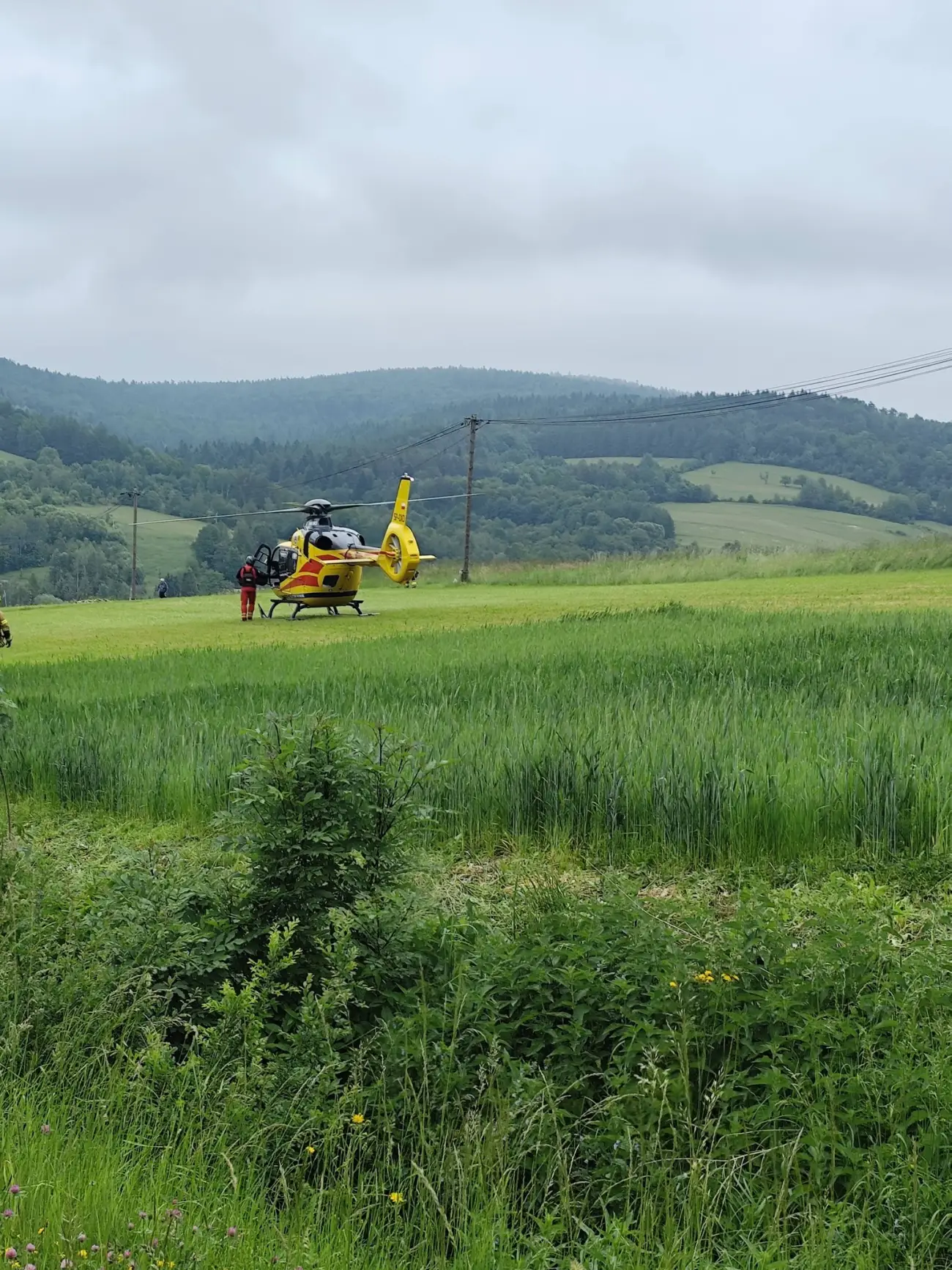 Śmiertelne potrącenie na drodze powiatowej. Interweniował śmigłowiec LPR
