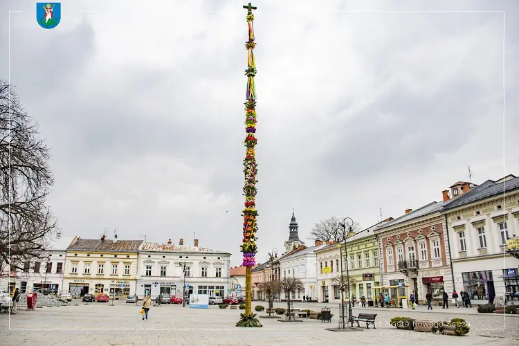 Na nowosądeckim rynku stanęła 24-metrowa palma wielkanocna