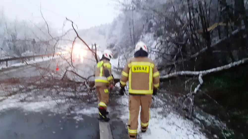 Powrót zimy na Sądecczyznę. Strażacy usuwają powalone drzewa. Interweniowali już 40 razy