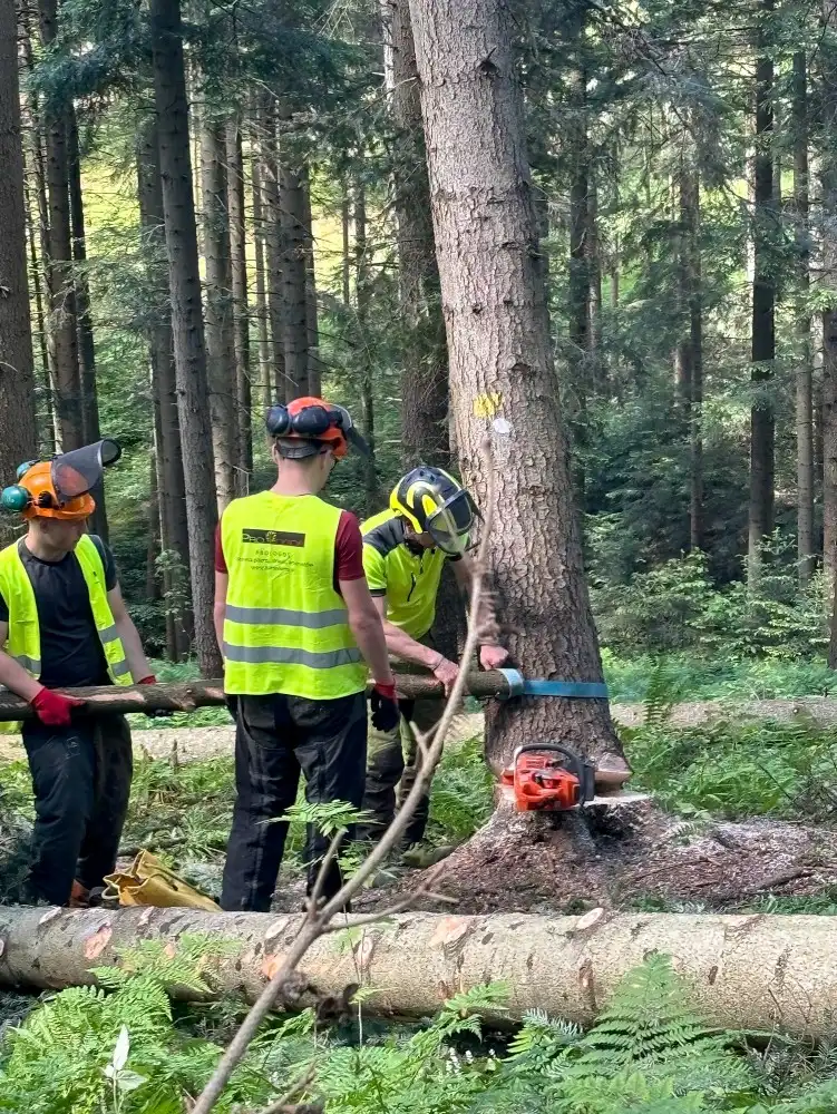 Uczniowie ZS w Starym Sączu wzięli udział w kursie pilarza