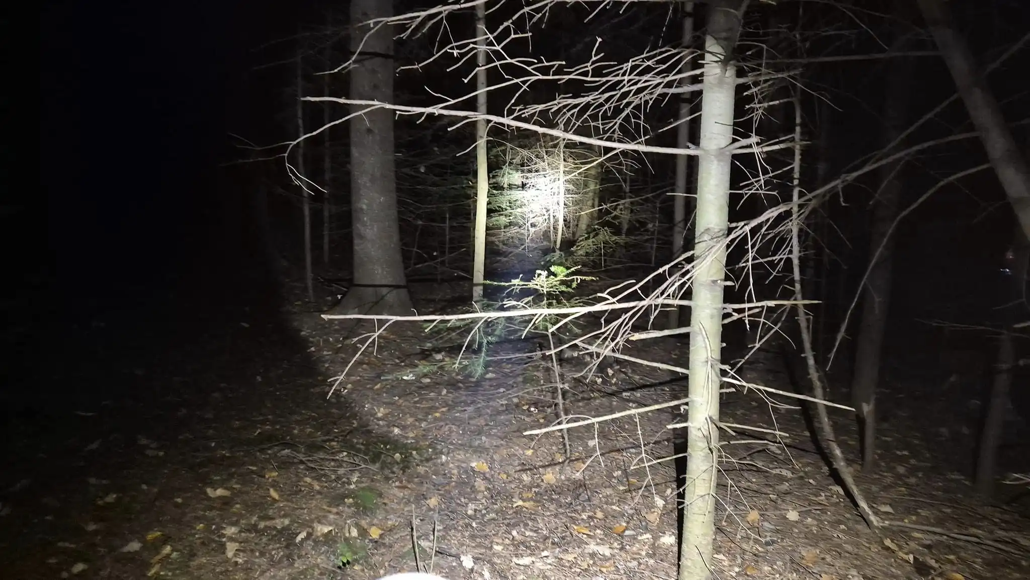 Dramatyczne poszukiwania w Korzennej. Służby ratunkowe w akcji