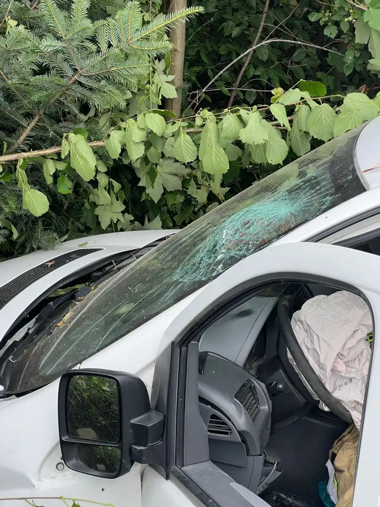 Wypadek w Kamionce Wielkiej: samochód wypadł z drogi i uszkodził słup telekomunikacyjny. Jedna osoba trafiła do szpitala