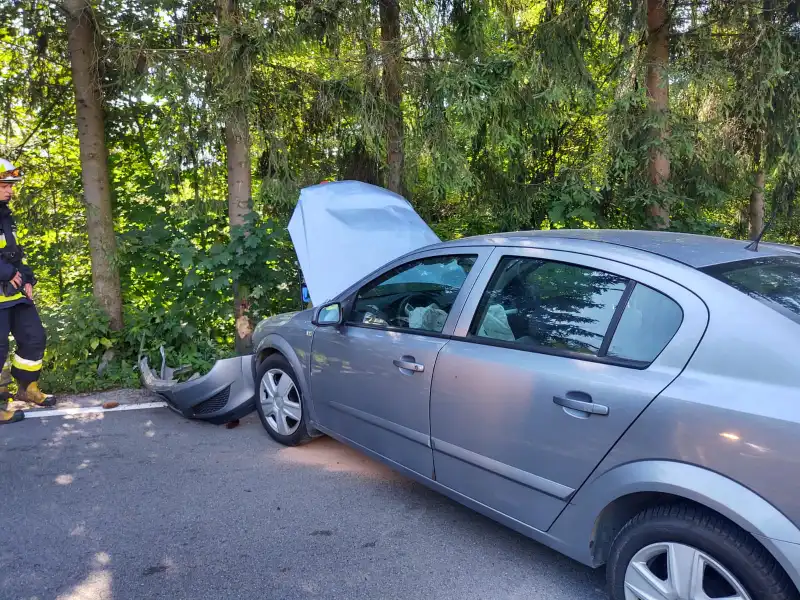 Ptaszkowa: stracił kontrolę nad autem i uderzył w drzewo