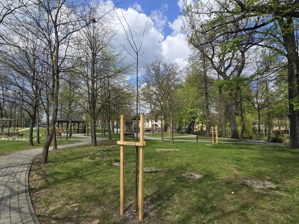 Zielona rewolucja w Parku Podworskim w Łukowicy