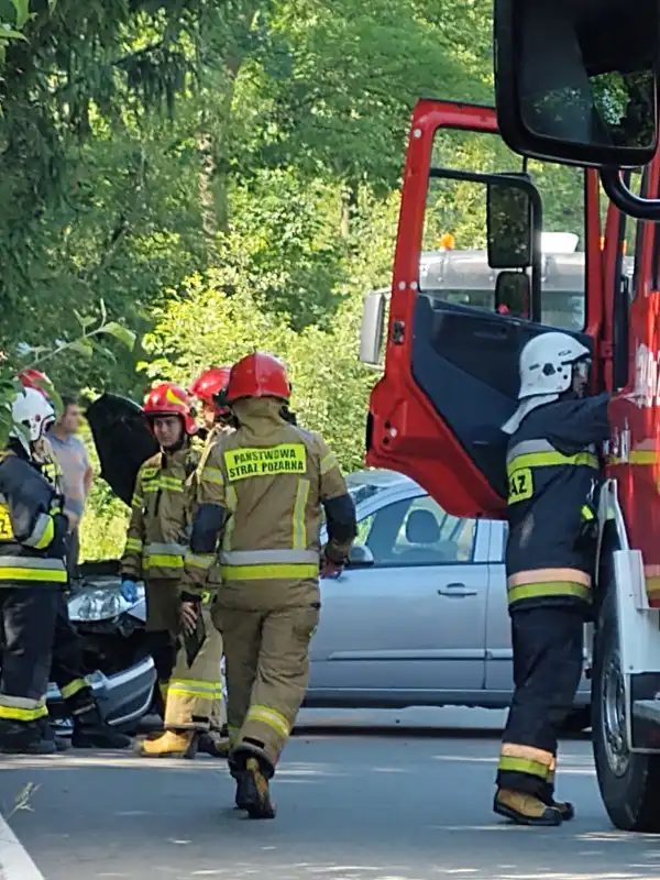 Ptaszkowa: stracił kontrolę nad autem i uderzył w drzewo