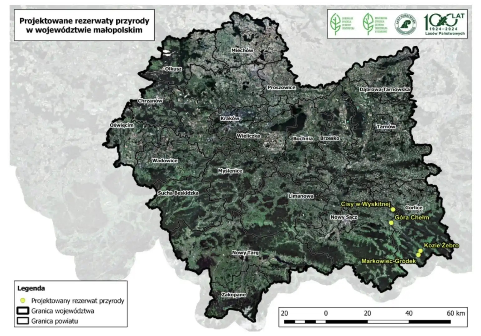 Cisy w Wyskitnej i inne perełki przyrody pod ochroną