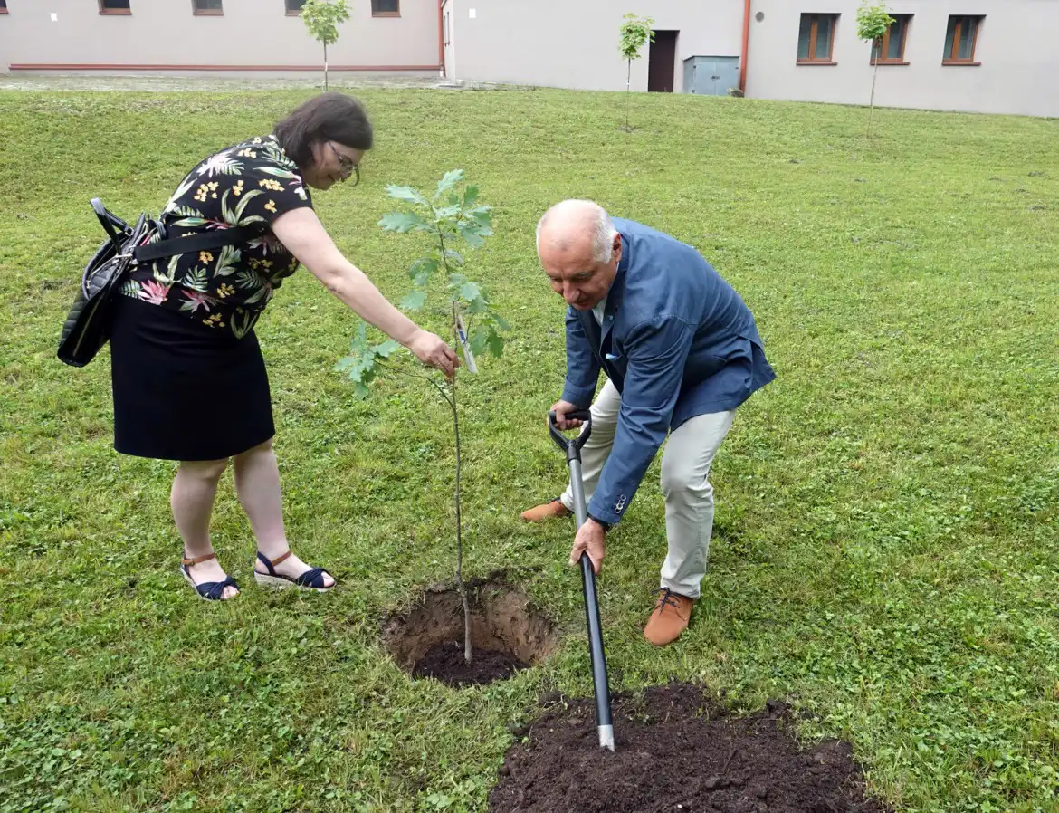 Starosta zasadził dąb. Powiat nowosądecki jest partnerem projektu LIFE-IP EKOMALOPOLSKA