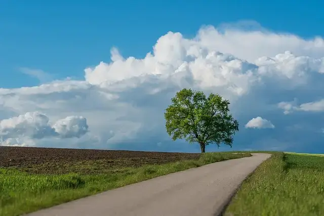 Duża inwestycja drogowa w Podegrodziu. Gmina podpisała umowę