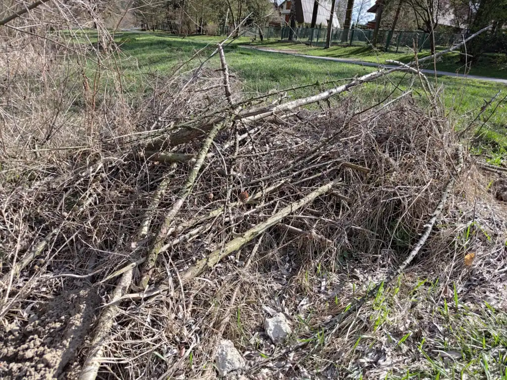 Nie wyrzucaj śmieci nad Poprad! Gmina Rytro apeluje do mieszkańców